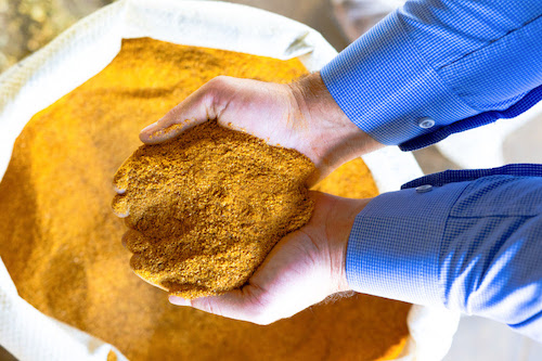 Inpasa abre nova rota de exportação de DDGS para o mercado chinês