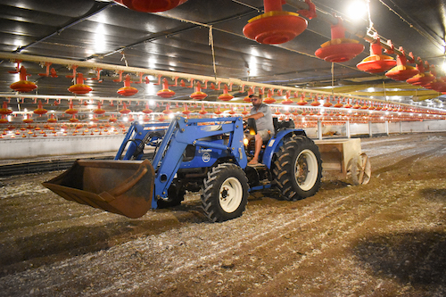 Tratores elevam a eficiência no manejo da avicultura