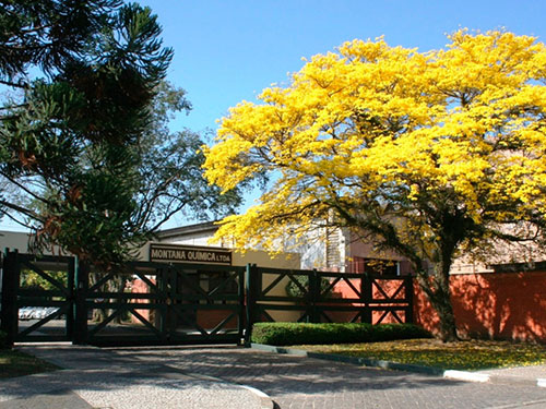 Montana Química leva experiência imersiva à Haus Decor Show 2026