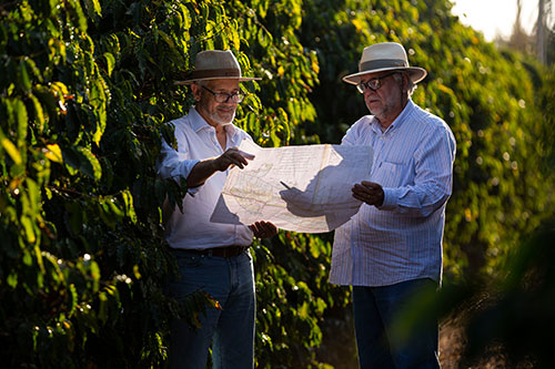 Cafés da Região da Chapada de Minas conquistam Indicação Geográfica