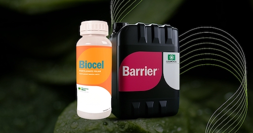 Biossoluções disponíveis no Brasil ajudam a enfrentar adversidades climáticas e perdas no transporte