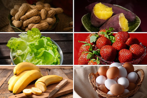  Do campo ao treino: São Paulo lidera produção de alimentos que abastecem o mundo fitness