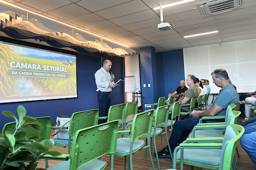 Indústrias se reúnem para debater propostas apresentadas pelo Governo Federal para frear impacto da crise no setor orizícola