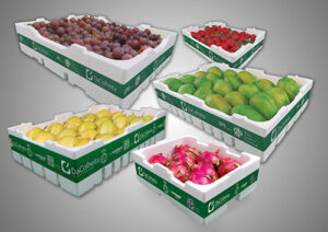 Termotécnica participa da Fruit Attraction 2026, com novidades como a conservadora térmica para maracujá