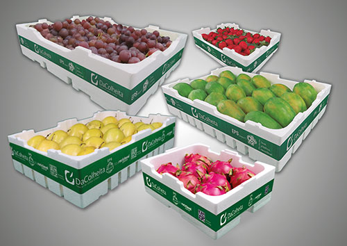 Termotécnica participa da Fruit Attraction 2026, com novidades como a conservadora térmica para maracujá