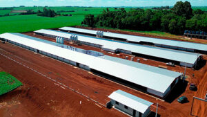 MBRF e Governo do Paraná anunciam investimento de R$ 375 milhões para fortalecer produção de alimentos no estado