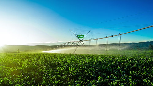 eco Pivô: sistema central compacto para irrigação eficiente em áreas menores