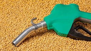 - B16 é resposta imediata à instabilidade do petróleo