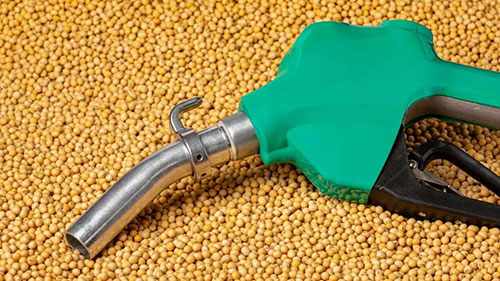 - B16 é resposta imediata à instabilidade do petróleo