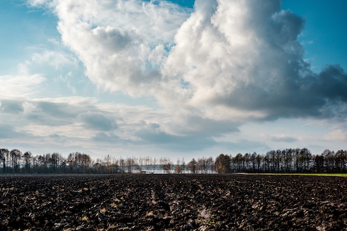 Terras degradadas viram ativo bilionário e abrem nova fronteira de investimento no agro