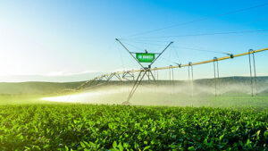 Bauer e Irrigaterra firmam parceria estratégica para ampliar o acesso à irrigação