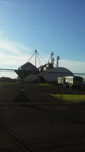 Quanto dinheiro pode se perder dentro do silo?