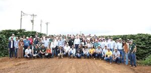 Modelagem do carbono avança como ferramenta estratégica para a cafeicultura sustentável