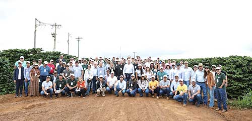 Modelagem do carbono avança como ferramenta estratégica para a cafeicultura sustentável