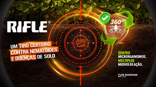 Chega ao mercado solução biotecnológica bivalente contra patógenos de solo e nematoides