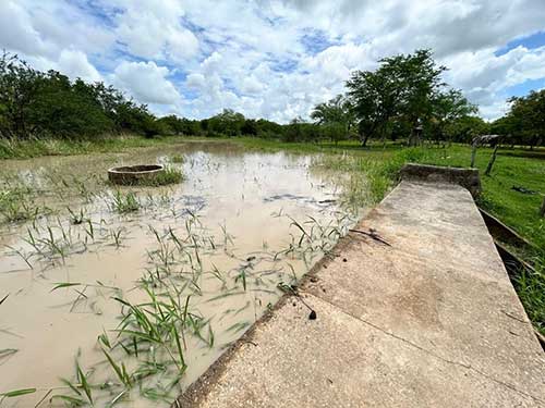 Embrapa e rede sociotécnica de parceiros impulsionam a segurança hídrica no Semiárido brasileiro