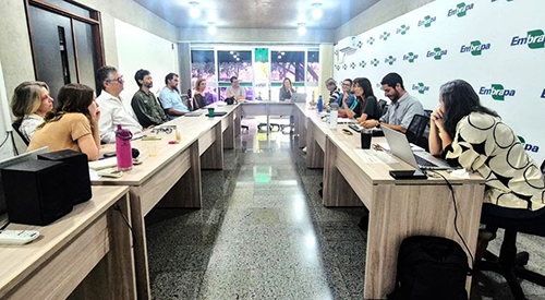 Embrapa e Instituto IPÊ vão usar palmeira juçara para recuperar áreas degradadas no Sistema Cantareira