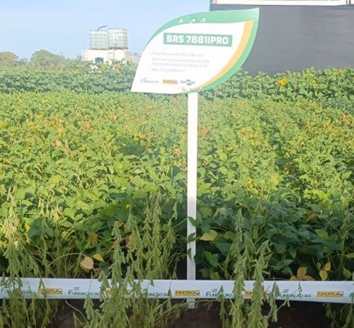 Embrapa Cerrados apresenta cultivares de soja na Passarela 2026, na Bahia