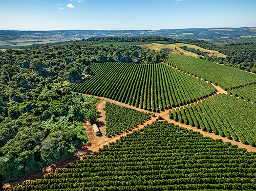 Exposição BRASIS Cafés de Origem estreia em Franca e seguirá para seis cidades celebrando a identidade e a excelência das regiões cafeeiras do Brasil