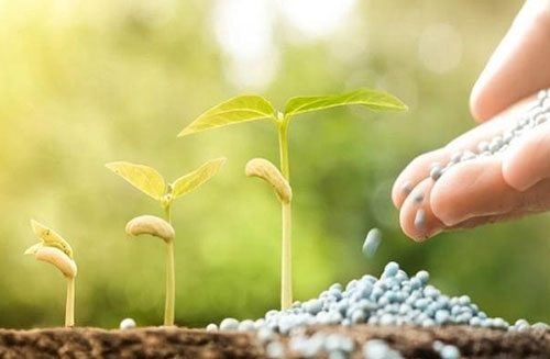 Mercado de fertilizantes cresce quase 10% em 2025 e atinge recorde anual