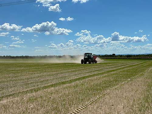 Corretivo de solo sustentável entra para o programa RenovaBio e gera Créditos de Descarbonização