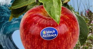 Maçã de Alcobaça estará presente na Fruit Attraction São Paulo 2026