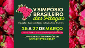 O futuro da Pitaya no Brasil