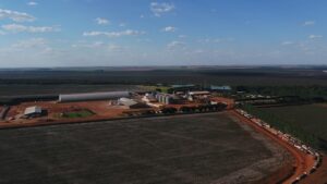 Fazenda Vale do Rio Verde (MT) integra projeto da RTRS e mostra viabilidade da agricultura regenerativa no agro
