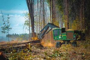 Reflorestar amplia presença em Minas Gerais com novas operações