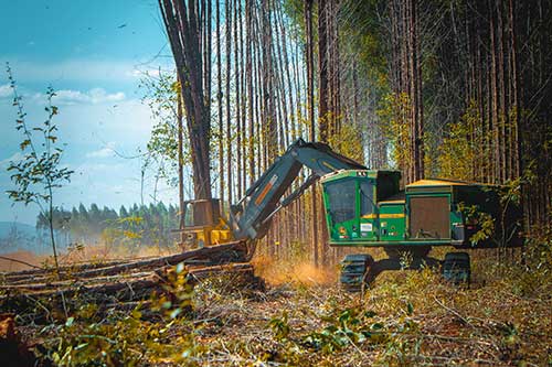 Reflorestar amplia presença em Minas Gerais com novas operações