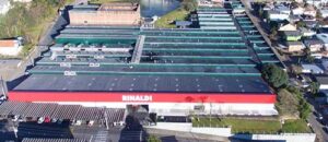 Rinaldi avança no cenário internacional e conquista a Ásia