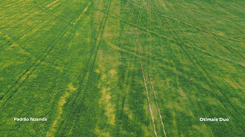 Biossolução sinérgica chega ao Brasil para maximizar uso de fertilizantes e aumentar a rentabilidade das culturas de soja e milho