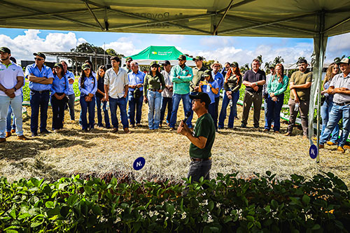 Biossolução sinérgica chega ao Brasil para maximizar uso de fertilizantes e aumentar a rentabilidade das culturas de soja e milho