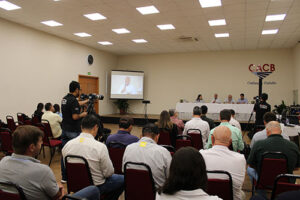 Safra de trigo em São Paulo deve ter redução de área em 2026