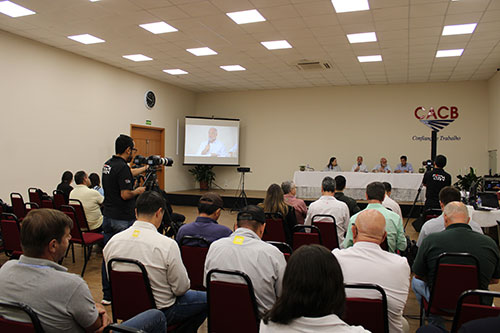 Safra de trigo em São Paulo deve ter redução de área em 2026