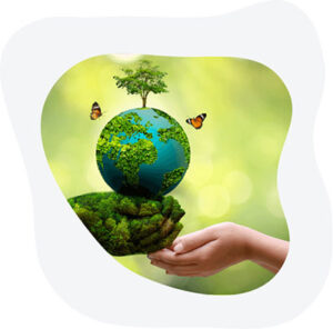 Com investimento de R$ 1,75 milhão, nova ferramenta revela potencial de carbono em propriedades rurais