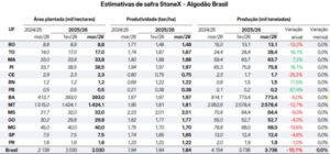 StoneX mantém estimativa para a safra de algodão 2025/26, mas eleva perspectiva para exportação