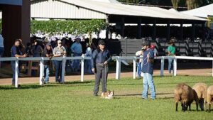 Com 65 hectares, Tecnoshow COMIGO integra infraestrutura, serviços e programação familiar para a experiência do visitante