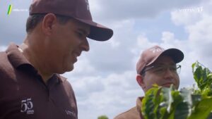 Novo episódio da websérie da Vittia mostra que o agronegócio é feito de pessoas e confiança
