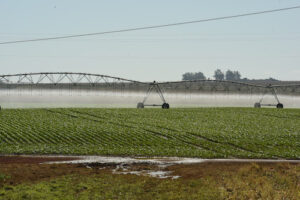 Fim do "quanto mais água, melhor”: o excesso está acabando com a lucratividade e produtividade das lavouras irrigadas.