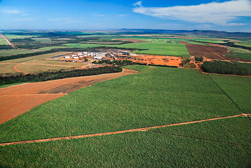 Engineering Brasil aplica Inteligência Artificial para automatizar controle de pragas e impulsionar agricultura de precisão na Uisa