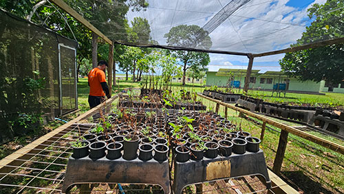 ADM Cares e IHP ampliam atuação no Pantanal e na Serra da Bodoquena com ações integradas de conservação