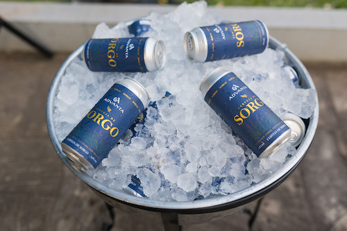 Sorgo avança no segmento de bebidas e revela potencial para cerveja sem glúten