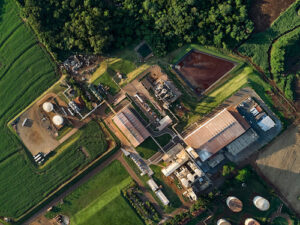 Alltech do Brasil recebe Medalha de Ouro da EcoVadis