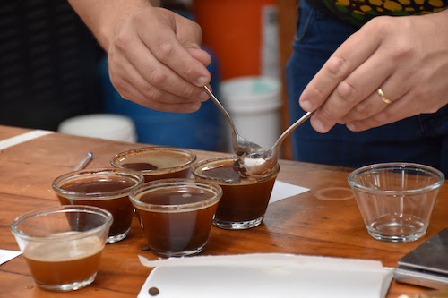  A quarta edição do Andradas Café Festival reúne produtores baristas, provadores, mestres de torra e amantes da bebida em um dos principais eventos do Brasil