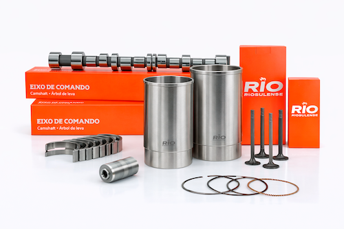 A RIO prevê investir mais de R$ 25 milhões em 2026, com foco na ampliação da capacidade produtiva, por meio da aquisição de maquinário de última geração e avanço em automação industrial. O objetivo é impulsionar a inovação e fortalecer a competitividade. Estes investimentos visam a equalizar a capacidade produtiva entre fundição e usinagem. “Além da aquisição de novos centros de usinagem de grande porte, faremos investimentos para ampliação do nosso parque fabril, que hoje tem uma área construída de 32.000 m2, em uma área total de 1 milhão de m2”, afirma Ornelio Kleber, CEO da empresa