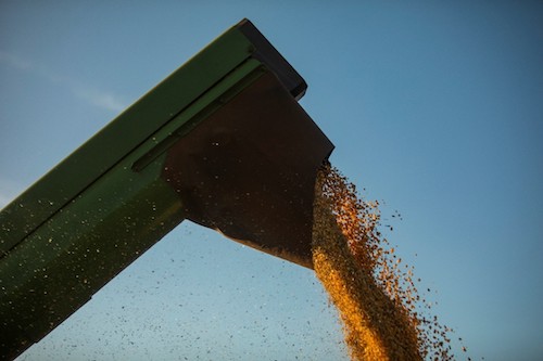 BASF na Tecnoshow Comigo 2026: Tecnologias integradas para elevar a produtividade de soja, milho e algodão