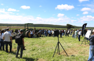 Embrapa e Baldan apresentam como transformar pastagens degradadas em sistemas produtivos durante Dia de Campo em São Carlos (SP)
