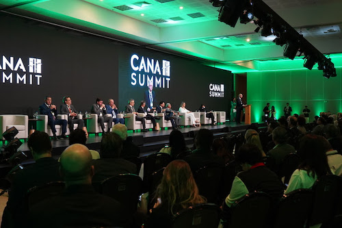 Juros elevados e crédito mais restrito colocam fluxo de investimentos na cana em debate