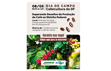 Dia de Campo vai discutir soluções para desafios da cafeicultura no DF; inscrições até terça (5)